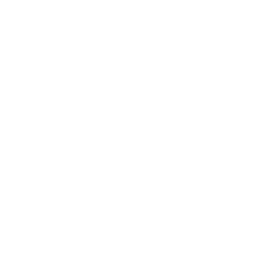 project-img